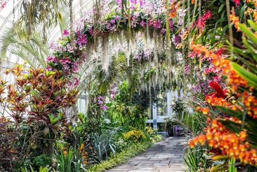 NYBGTheOrchidShowSingapore-Arches-MCOB0807-1200x800.jpg